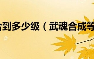  武魂60级什么装备好用,怀旧服武魂多少级可以携带？