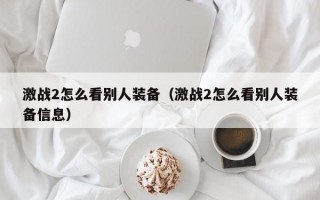  激战2怎么装备两套武器啊,激战星海双人模式怎么给装备？